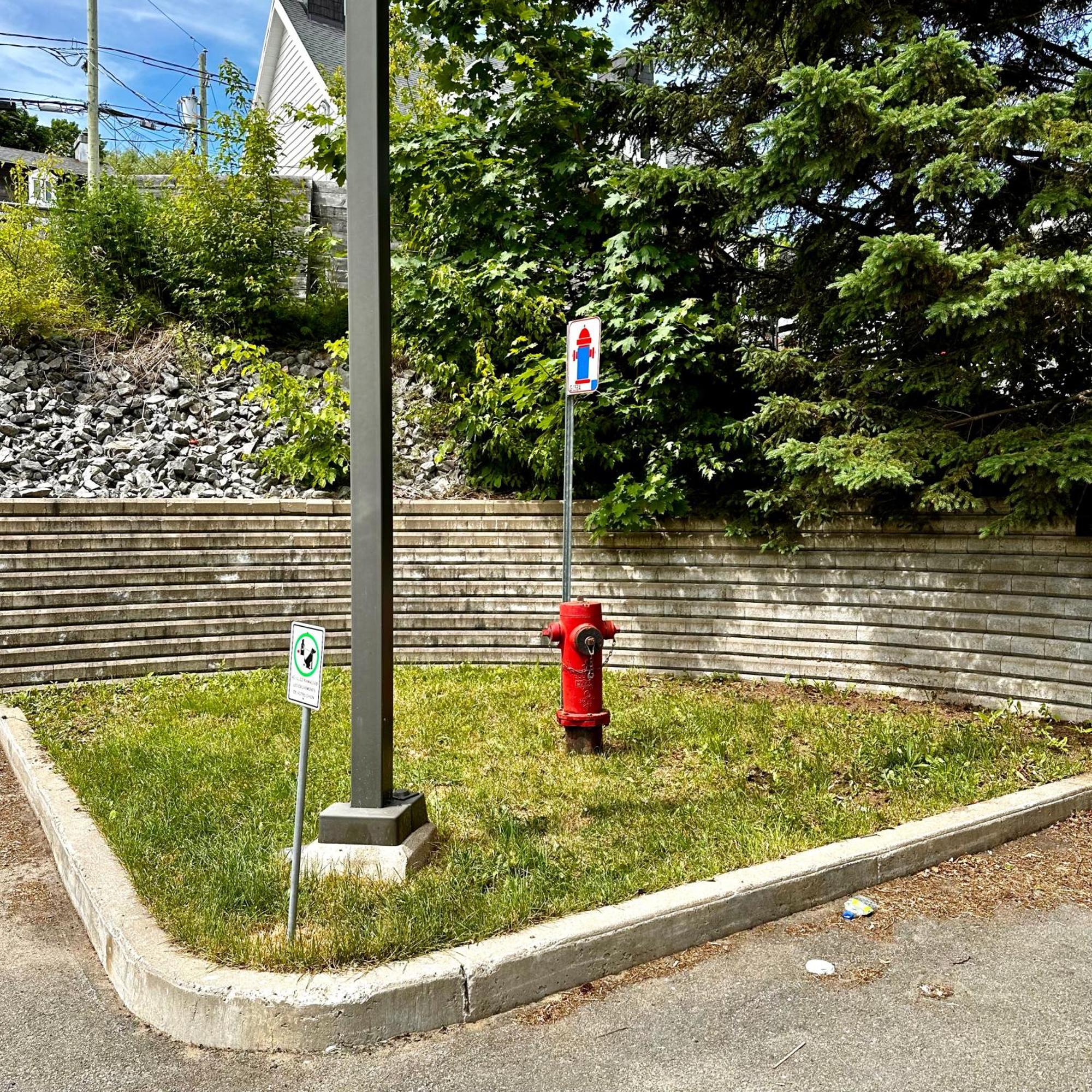 Initial - Moose - Chutes-Montmorency Boischatel Экстерьер фото