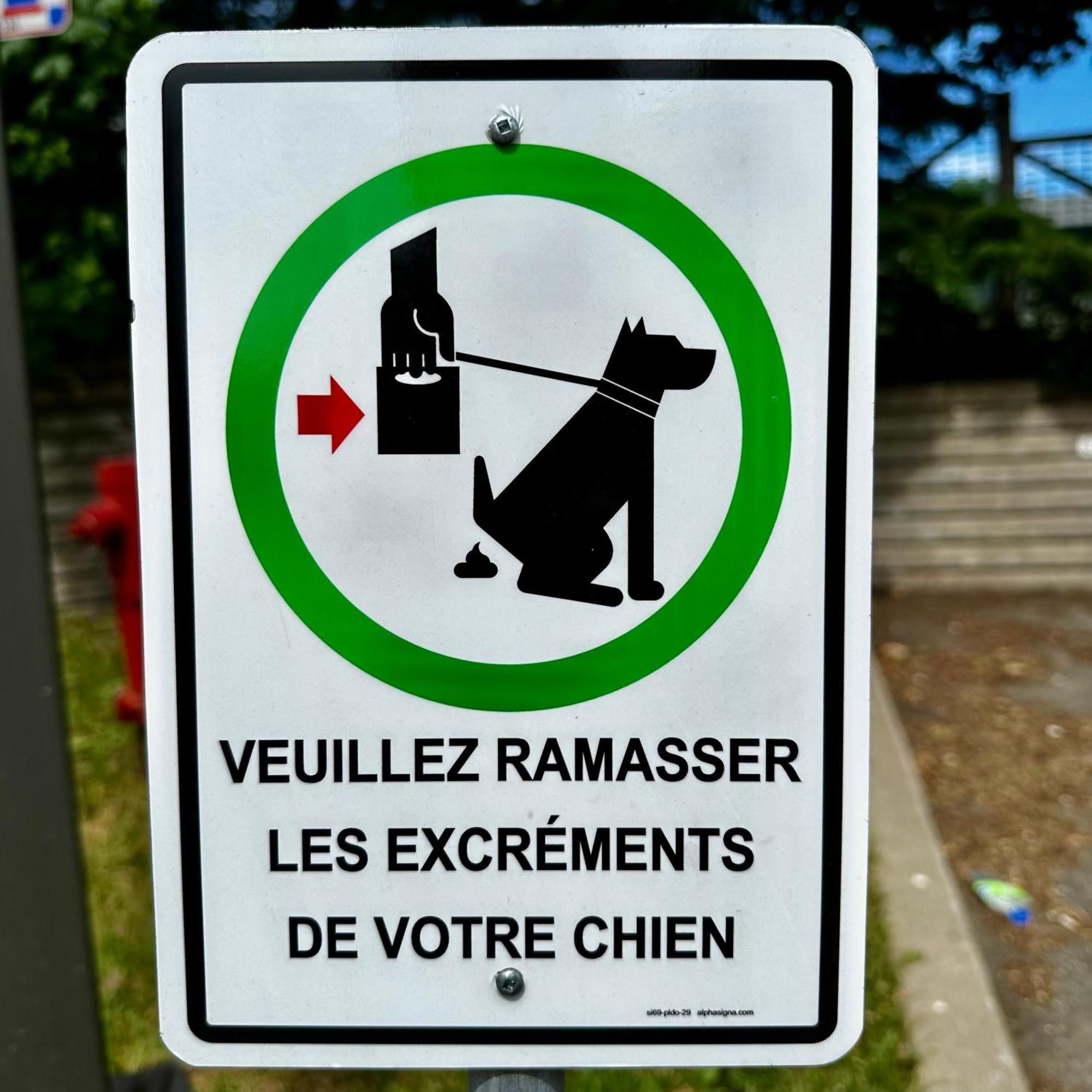 Initial - Moose - Chutes-Montmorency Boischatel Экстерьер фото